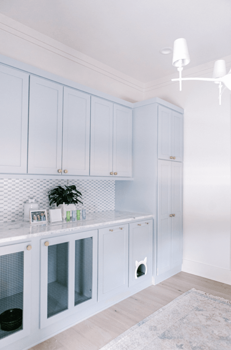 cabinets with built-in cat litter box and cage